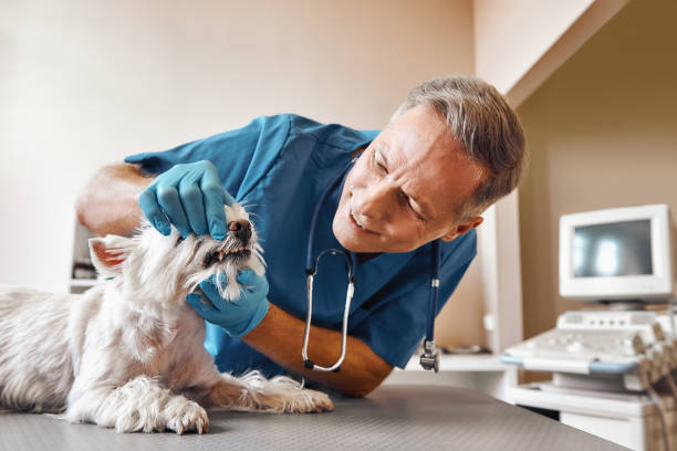 Best Emergency Tooth Extraction in Belle Haven, VA